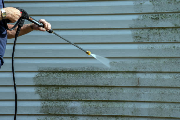 Best Local Pressure Washing Services  in Parole, MD